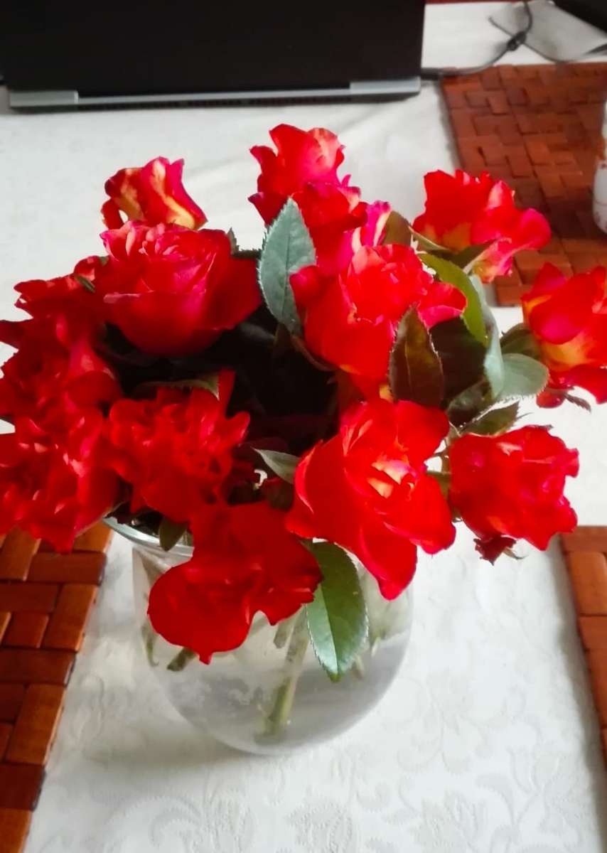 czerwone kwiatki w wazonie puzzle online