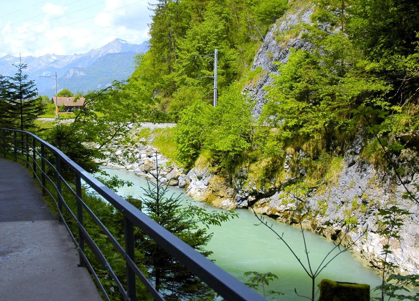 Szwajcaria - droga piesza wzdłuż rzeki Aare puzzle online