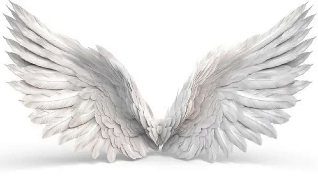 białe-skrzydła-anioła-na-białym-tle puzzle online