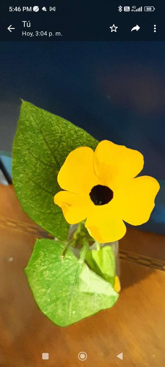 Jdt_yellow_flower_green_leaf puzzle online