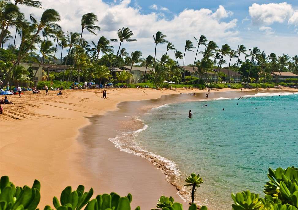 Piaszczysta plaża na Hawajach puzzle online