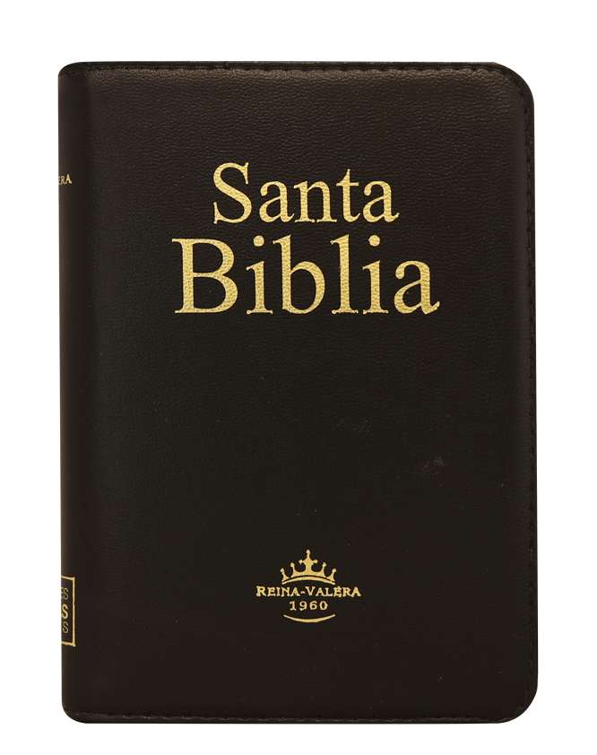 BIBLIA puzzle online