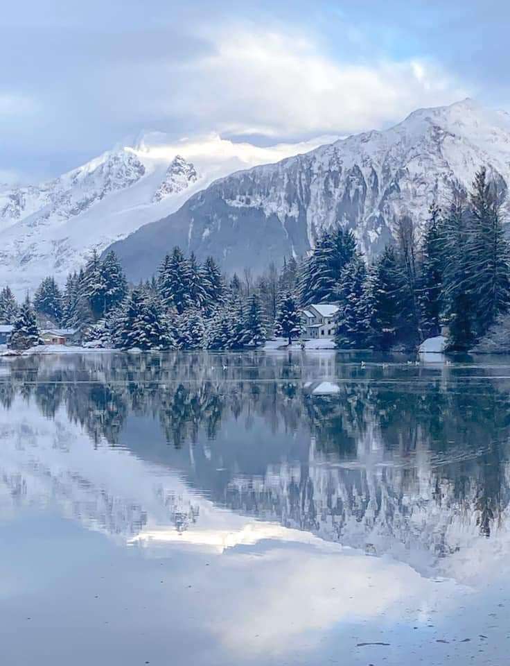 Śnieżne drzewa w górach jeziora puzzle online