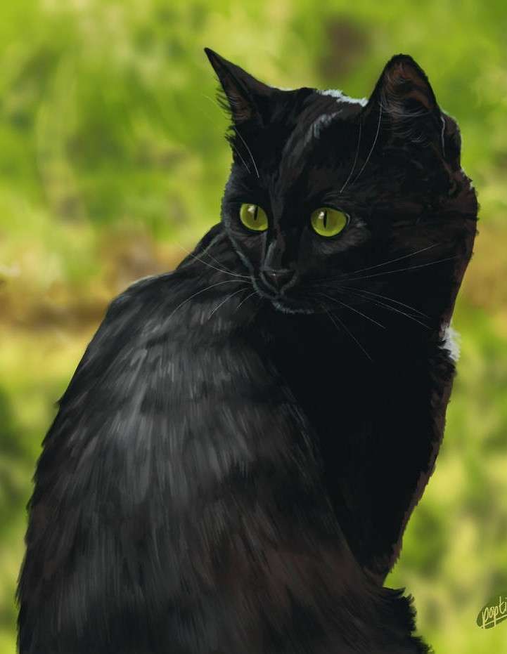 Czarny kotek. puzzle online