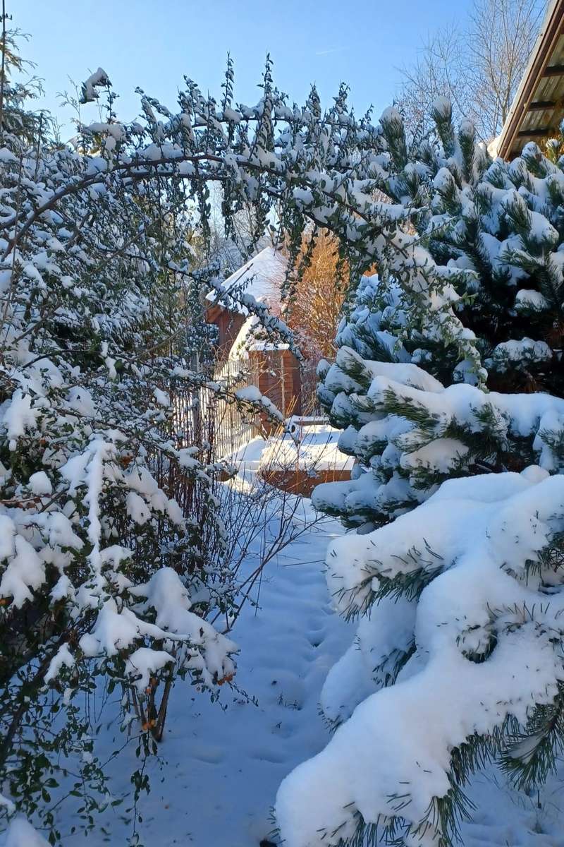 śnieżna zima w ogrodzie puzzle online