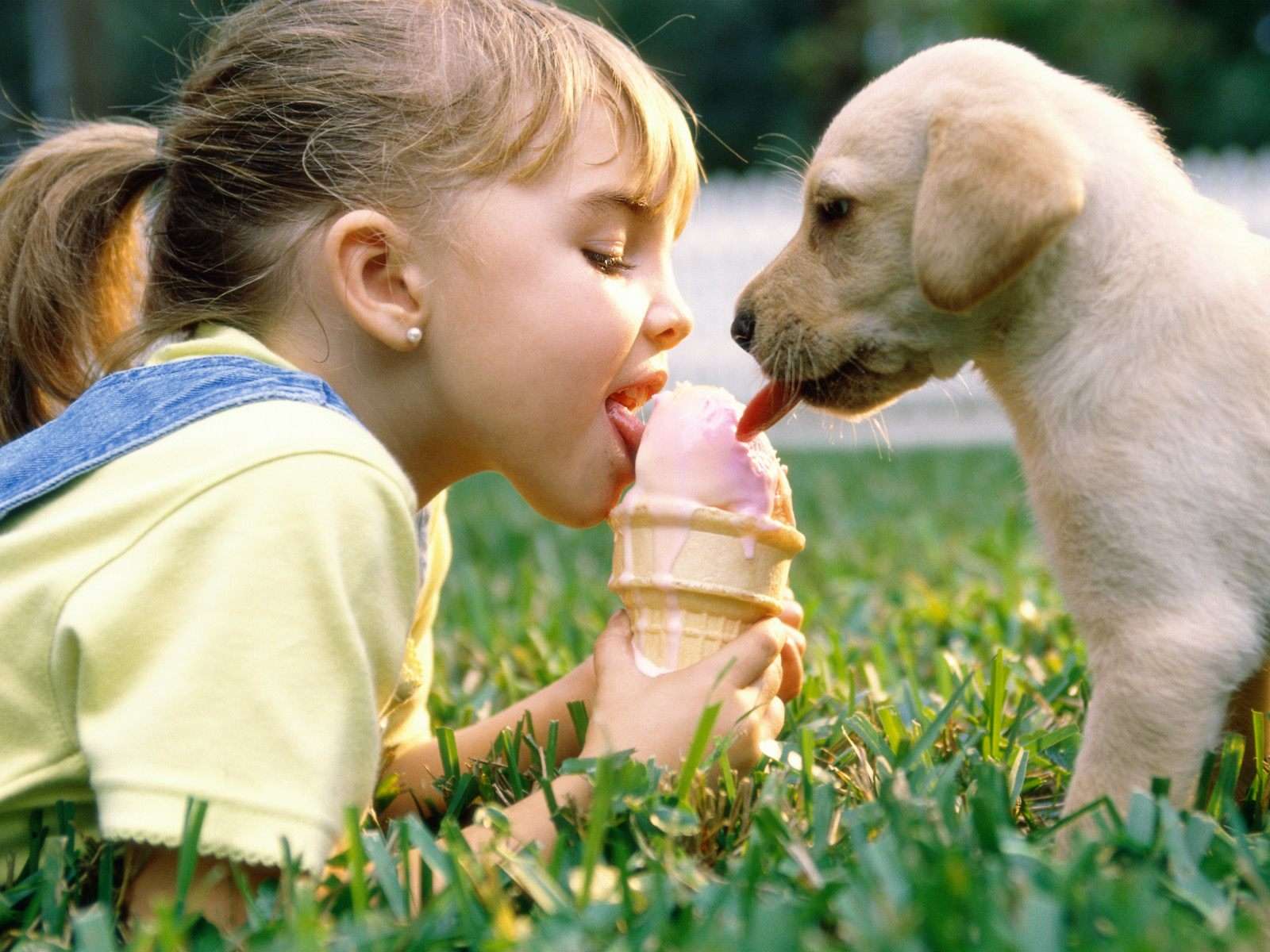 Pies i dziewczynka liżą lody puzzle online