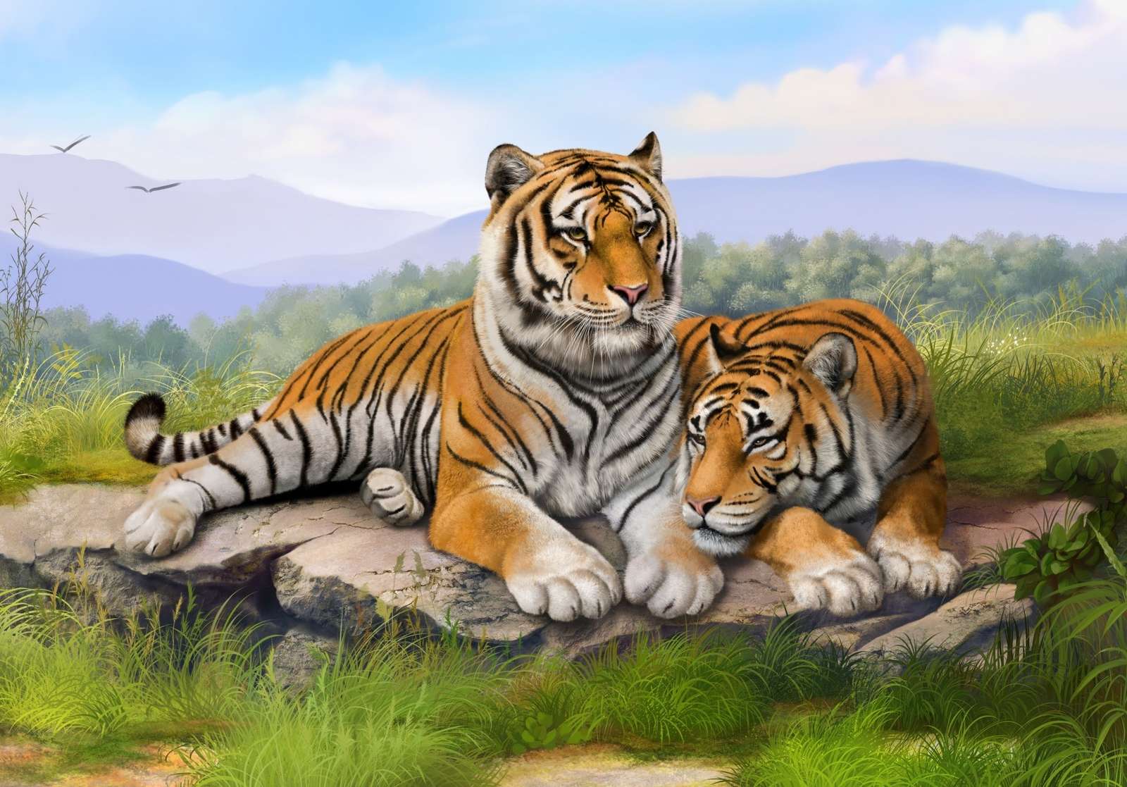 Rodzina tygrysów bengalskich puzzle online