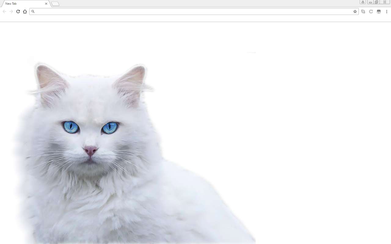 Biały kot puzzle online