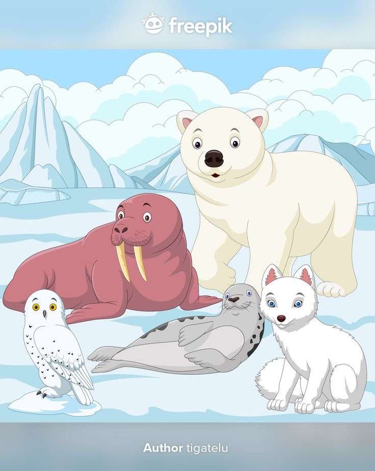 Zwierzęta Arktyki puzzle online