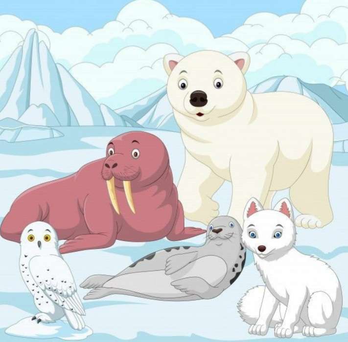 Zwierzęta polarne puzzle online