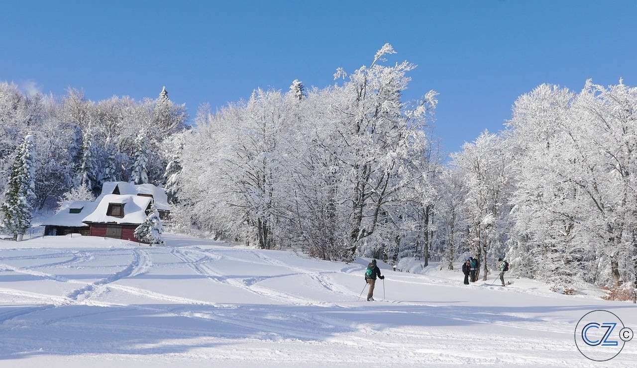 Zima, góry, drzewa, śnieg puzzle online