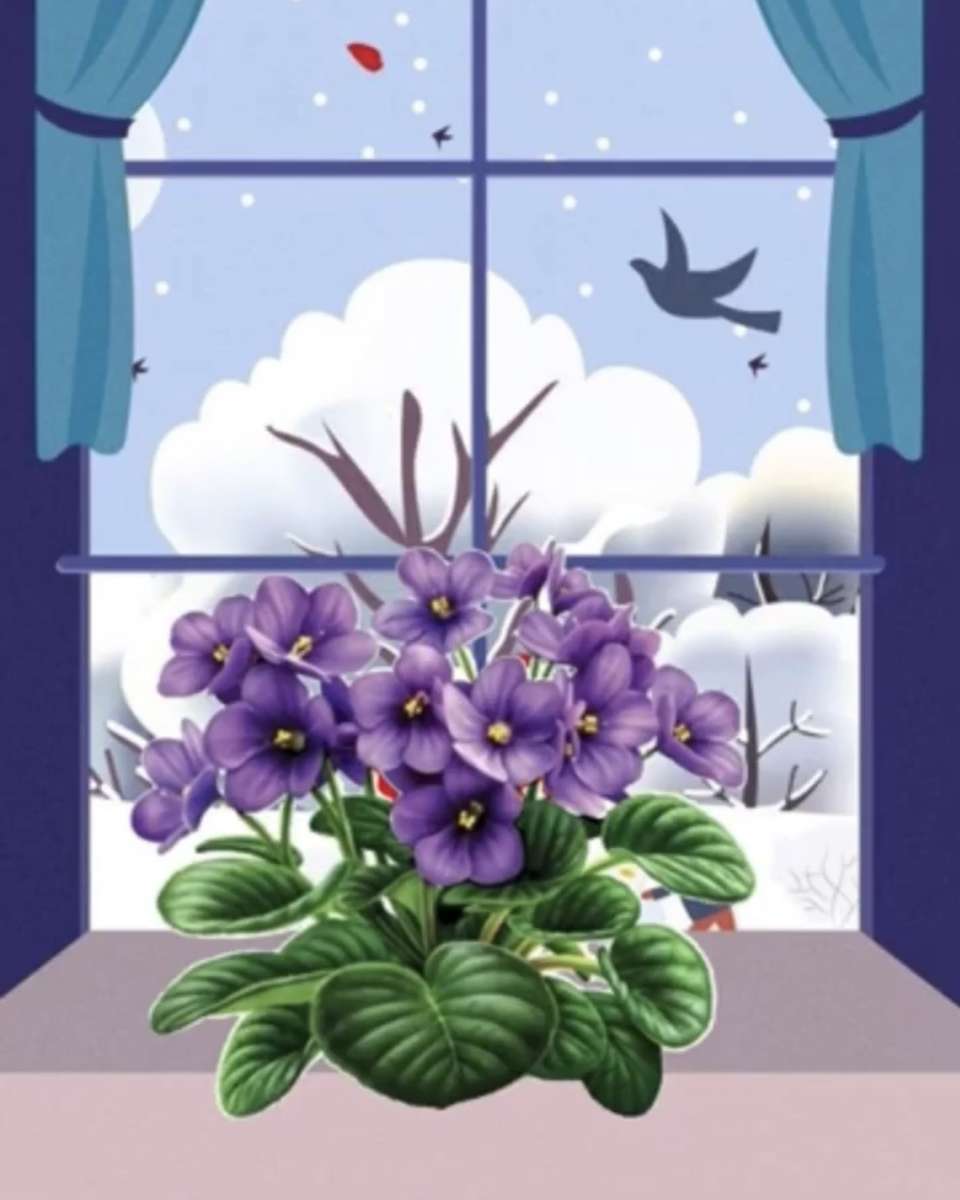 Kwiaty na parapecie. Fioletowy puzzle online
