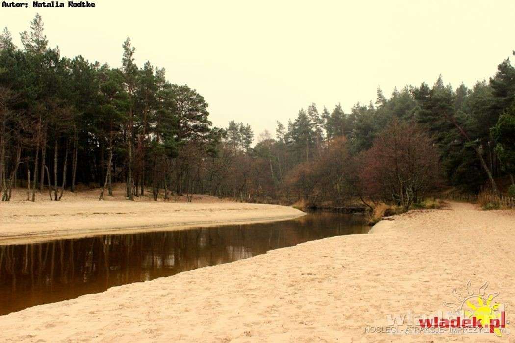 Rzeka Piaśnica płynie na plaży puzzle online