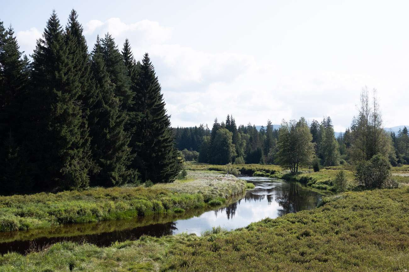 Park narodowy Szumawa, Czechy puzzle online