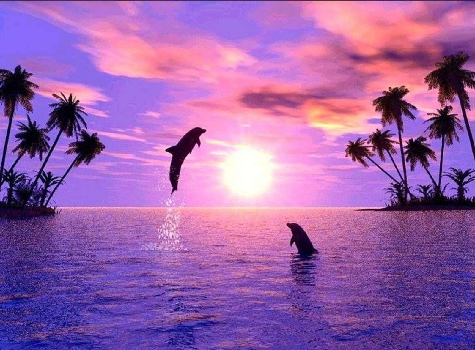 delfiny w morzu ksieżyc i zachód słońca puzzle online