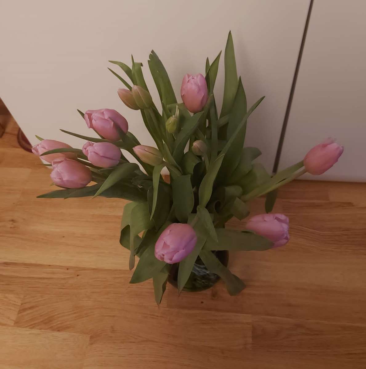 różowe tulipany na parkiecie puzzle online
