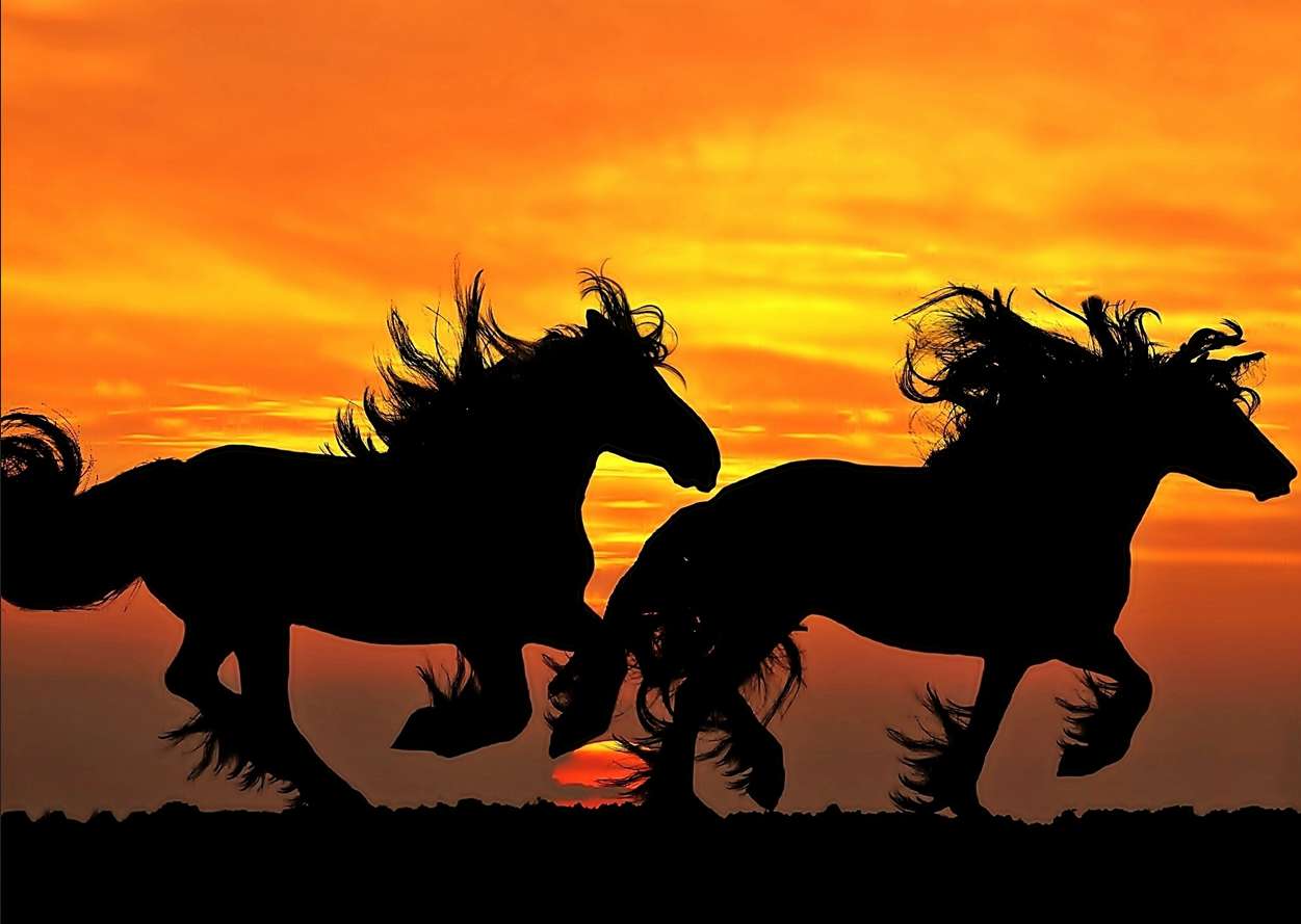 konie i zachód słońca puzzle online