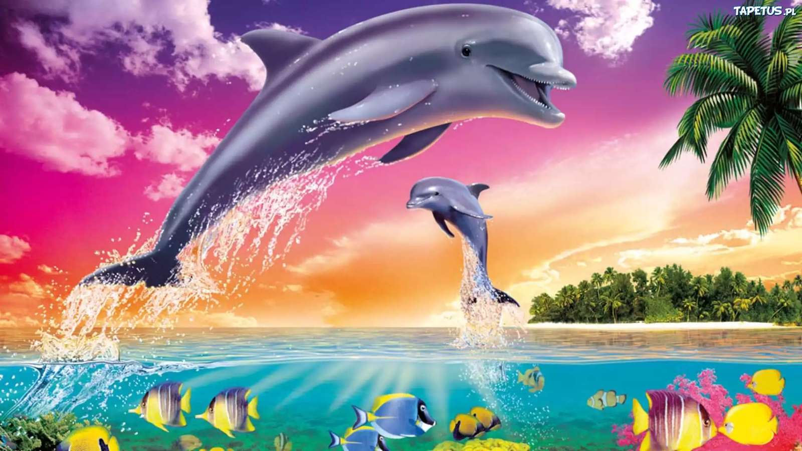 Zadowolone delfiny puzzle online