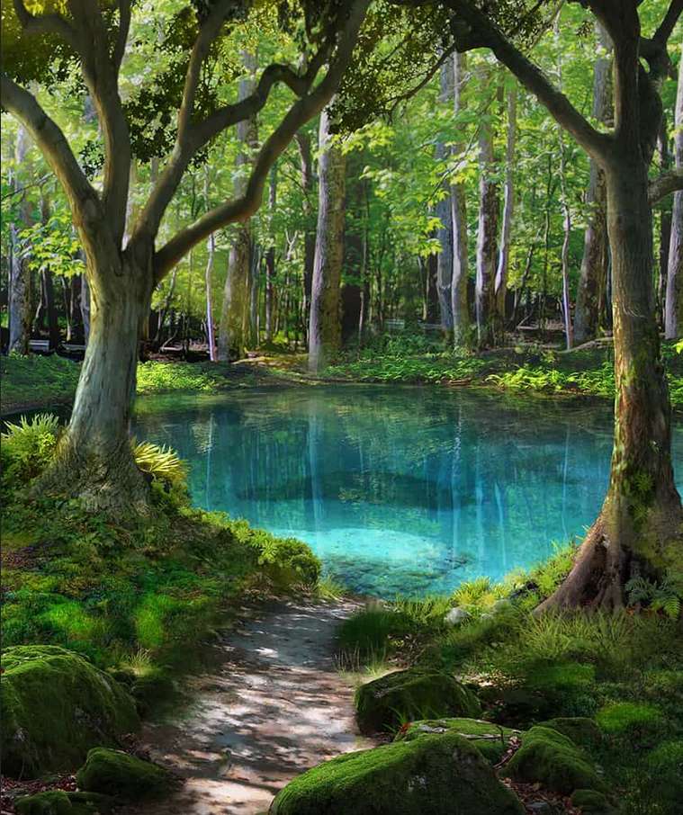 piękne, czyste tajemne jeziorko w lesie puzzle online