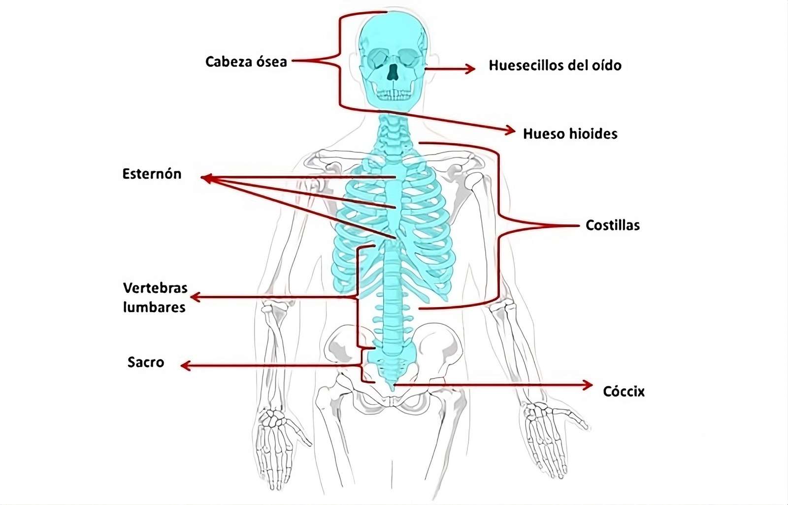 Układanka osiowa puzzle online