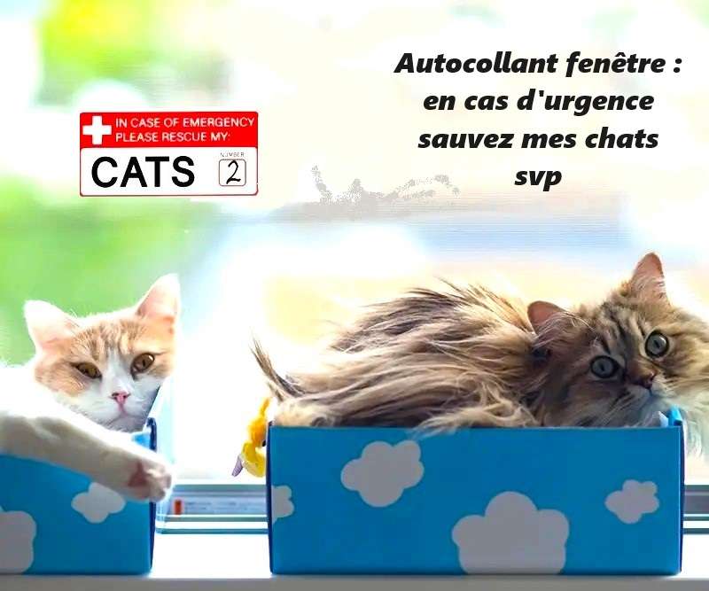Autocollant: en cas d'pilence sauvez mes chats! puzzle online