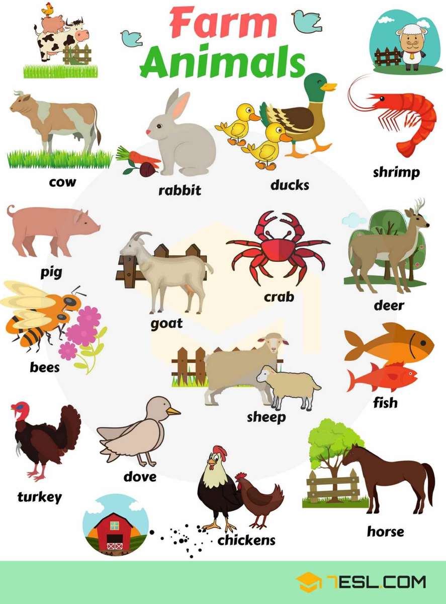zwierzęta hodowlane po angielsku puzzle online