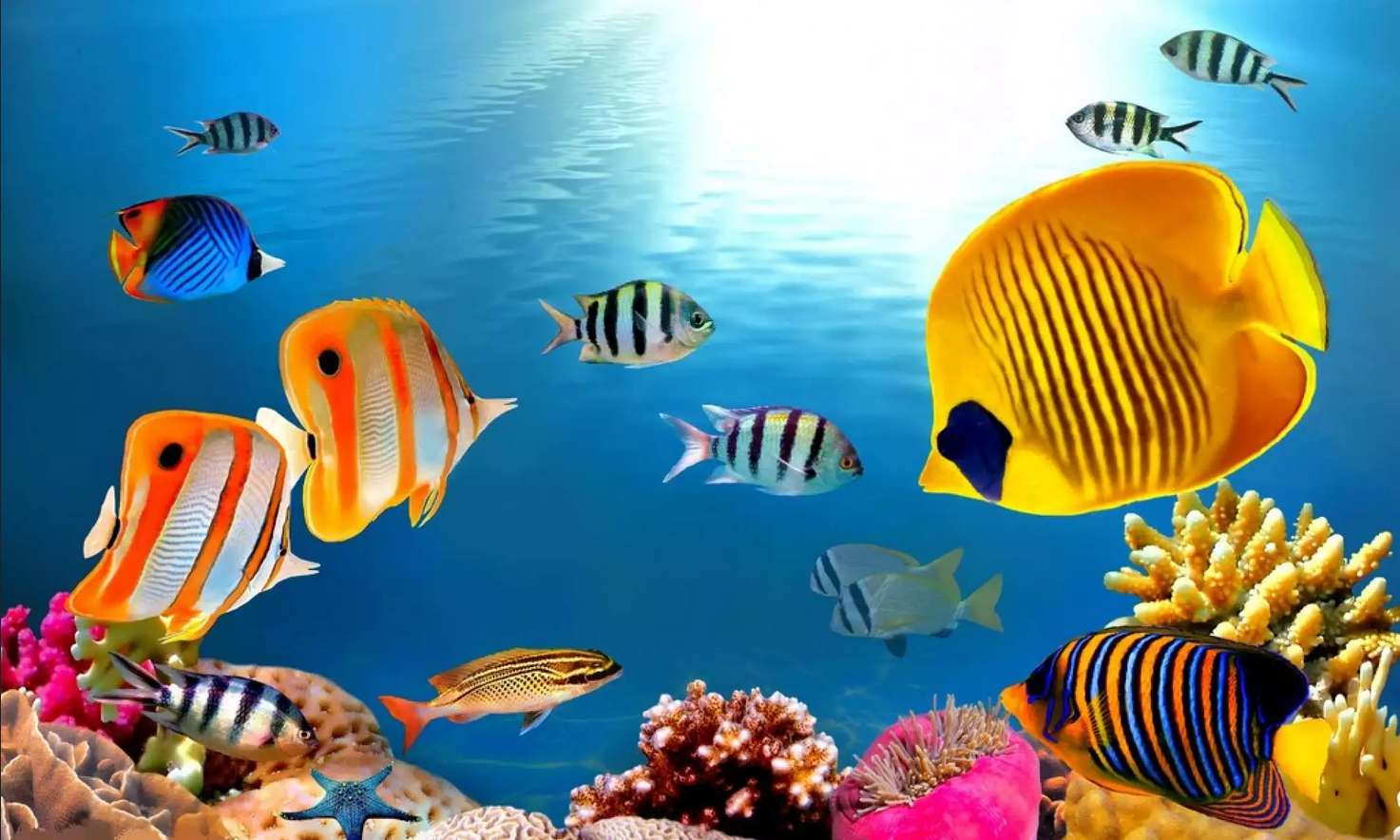 rybki i-podwodny krajobraz puzzle online