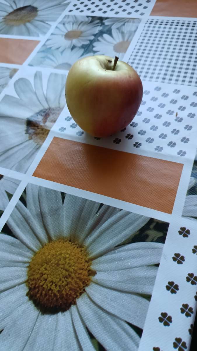 Jabłko na stole puzzle online