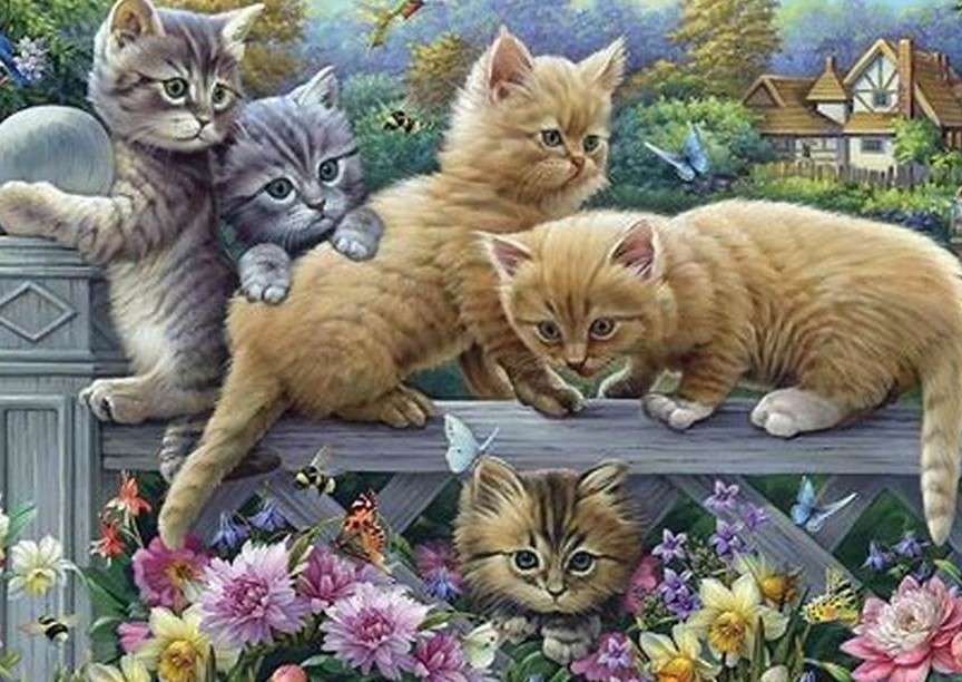 Kotki na płocie puzzle online