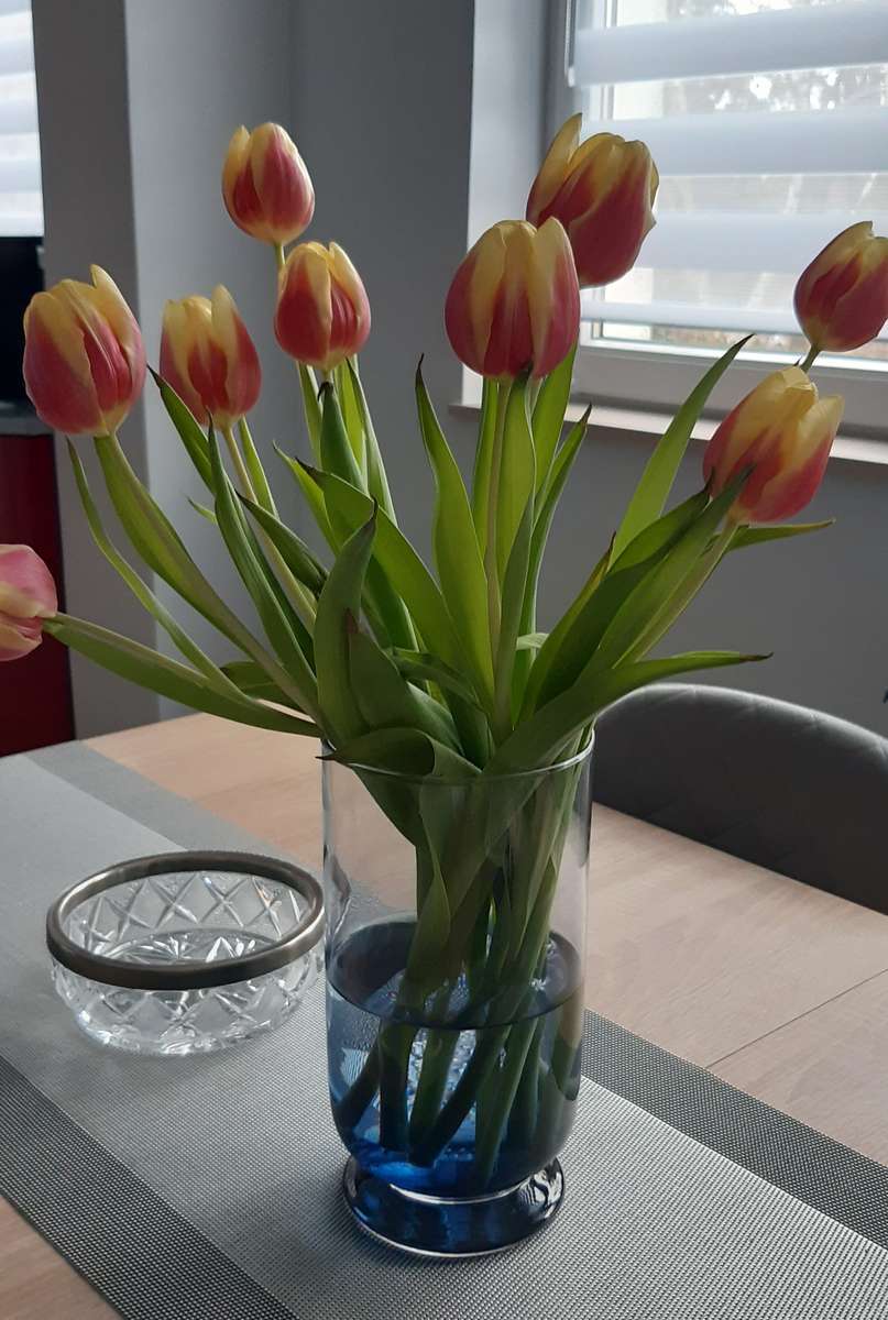 tulipany w niebieskim wazonie puzzle online