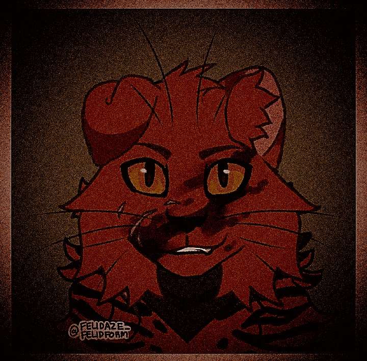 Czerwony kot z lamówką puzzle online