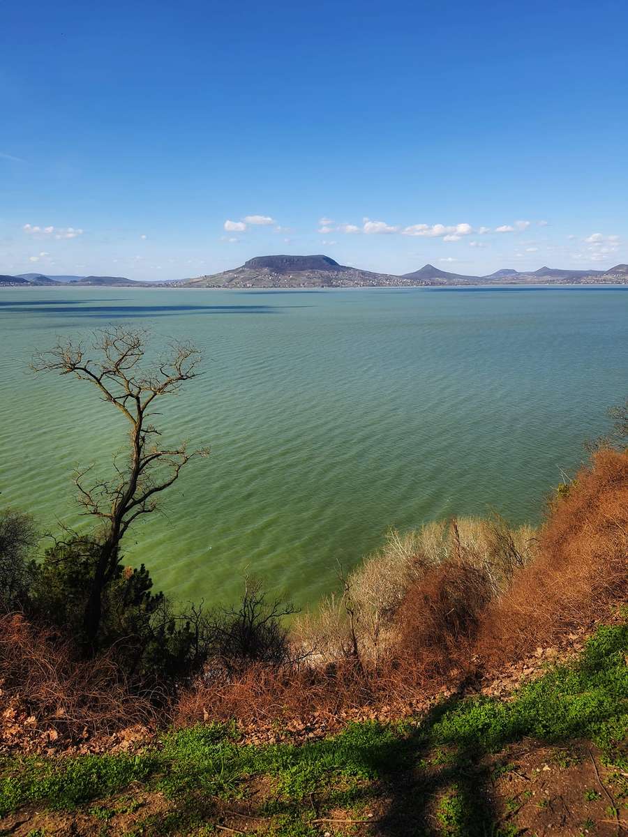 Balaton Badacsony puzzle online