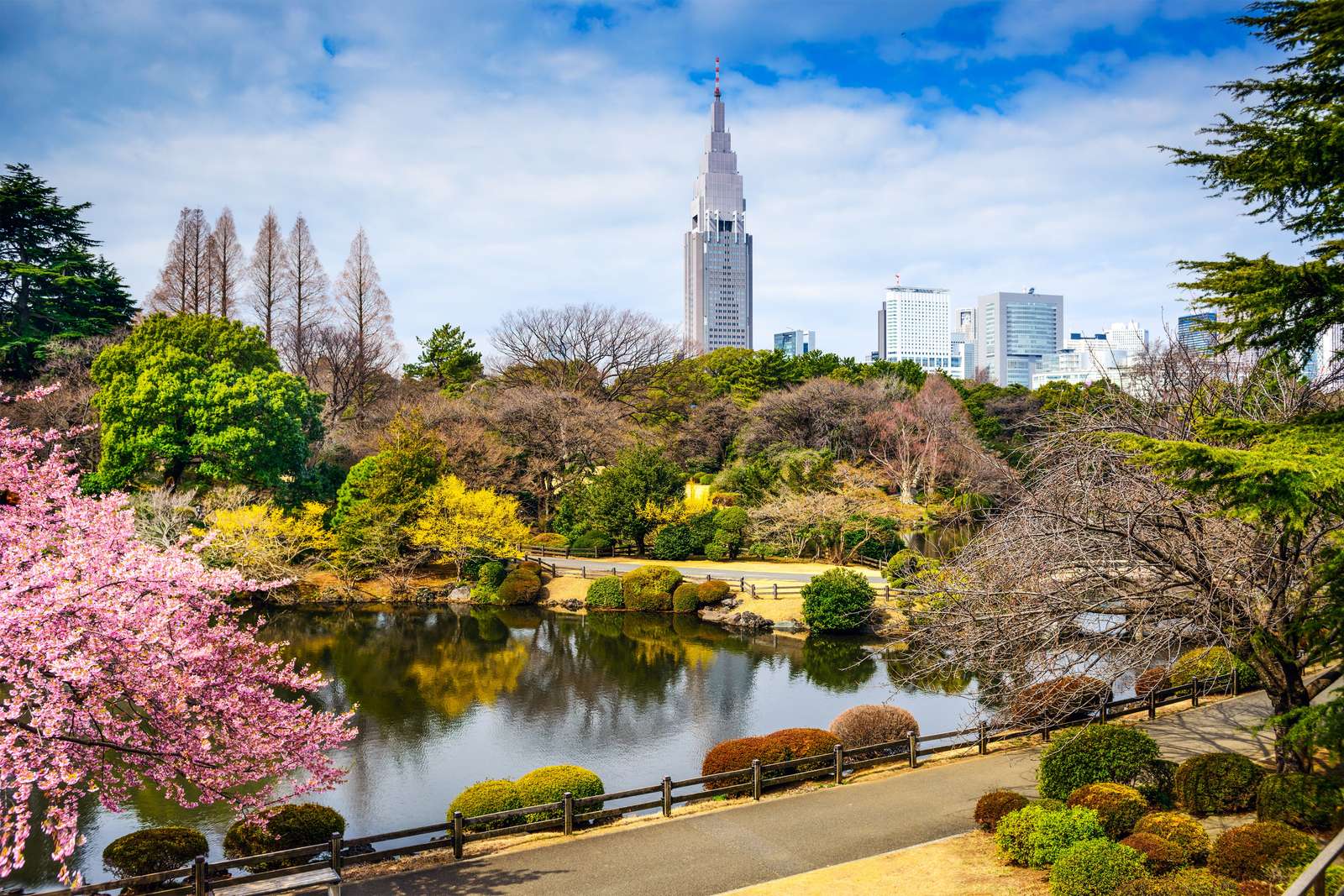 Park Narodowy w Japonii puzzle online