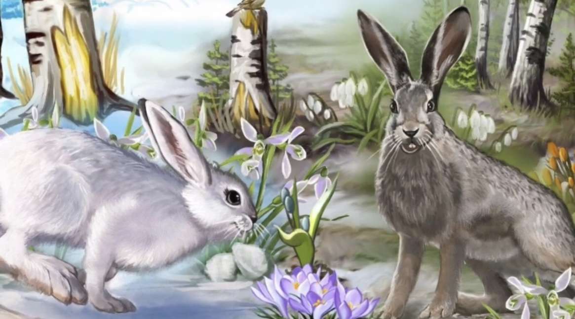 „Marzec jest jak króliczek” puzzle online