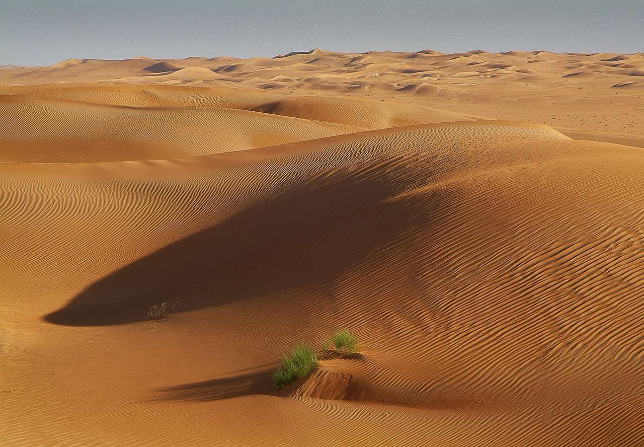 Sahara w Tunezji w Afryce puzzle online