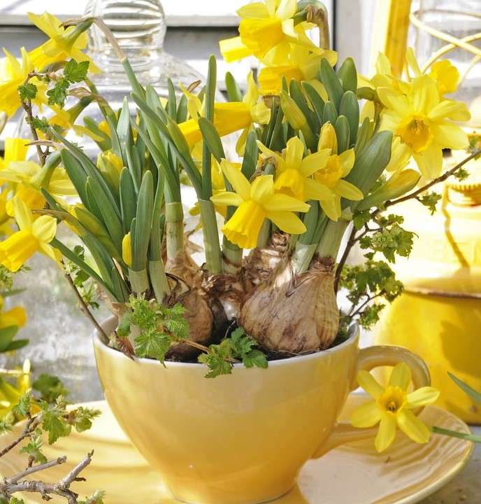Wiosenne żółte kwiaty puzzle online