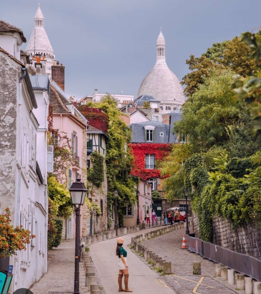 Dzielnica ulicy Montmartre puzzle online