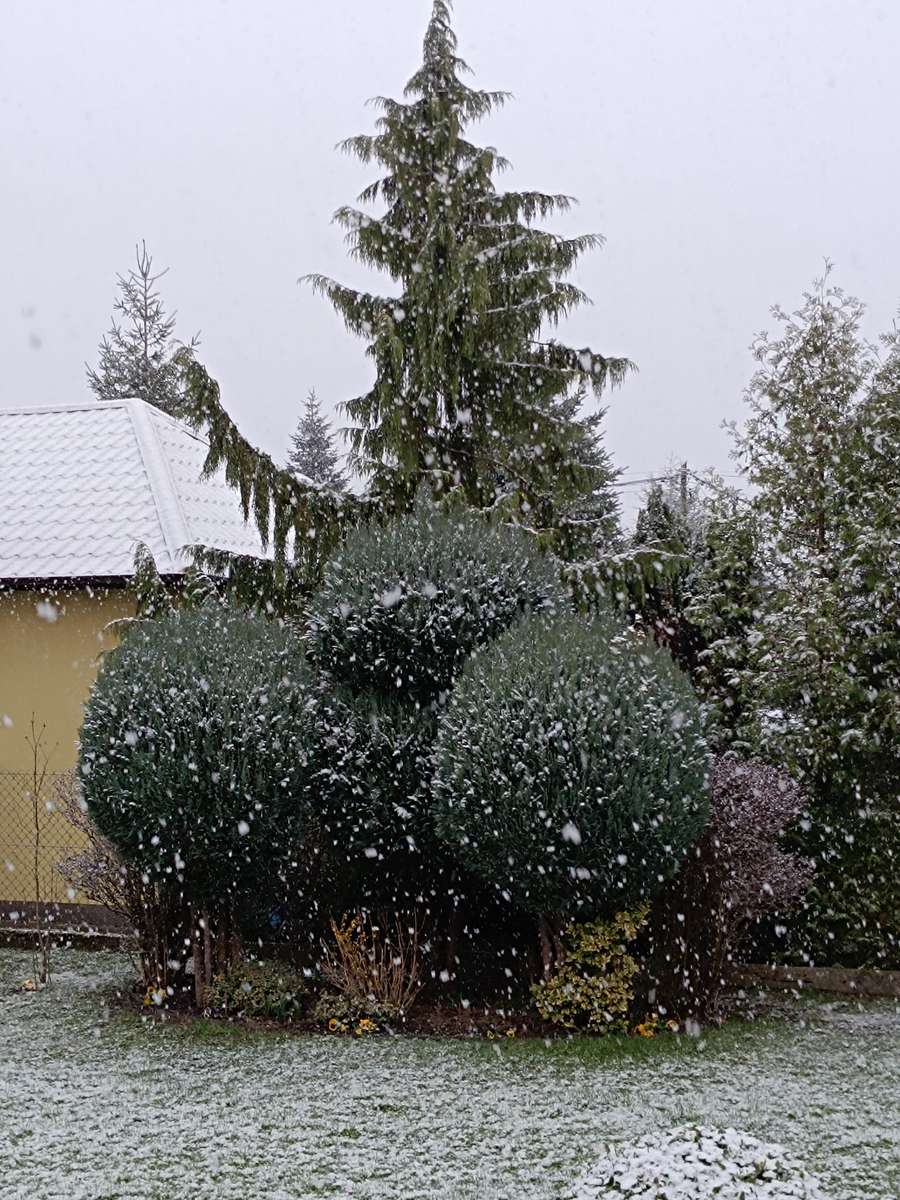 pada wiosenny śnieg puzzle online