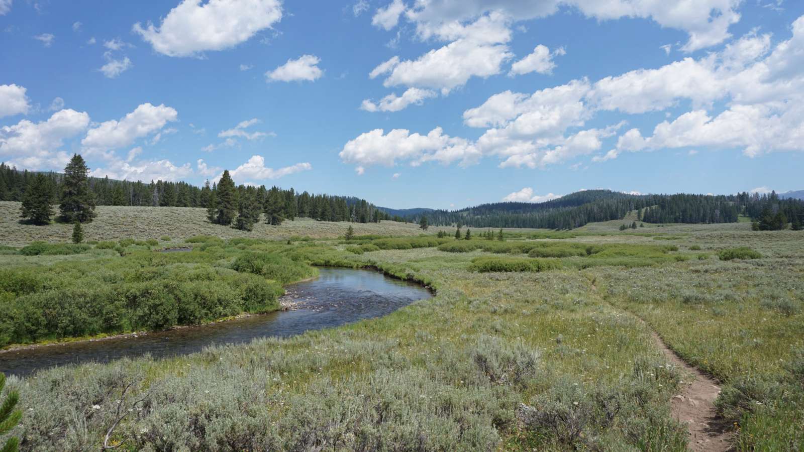 Strumień w parku Yellowstone puzzle online