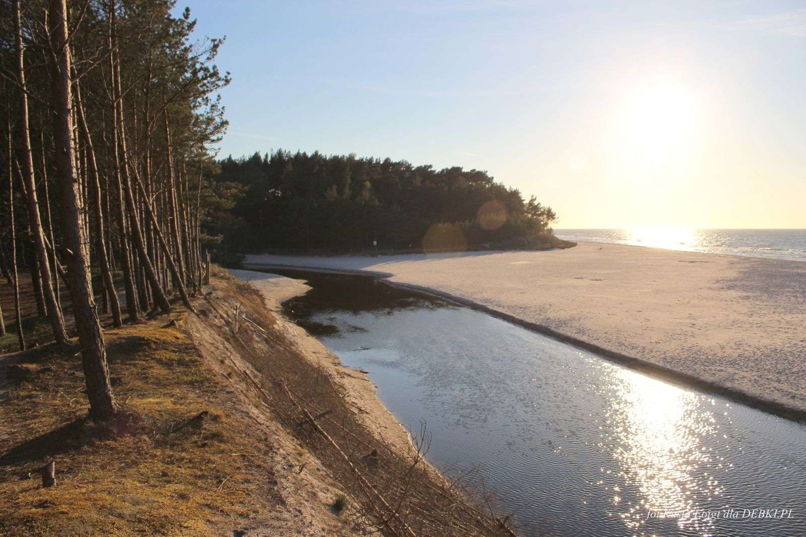 Rzeka Piaśnica na plaży puzzle online