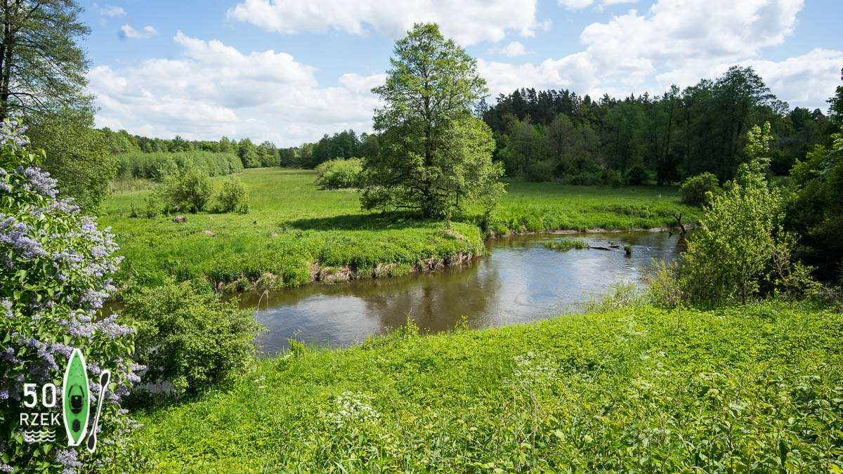Rzeka Łyna na Warmii puzzle online