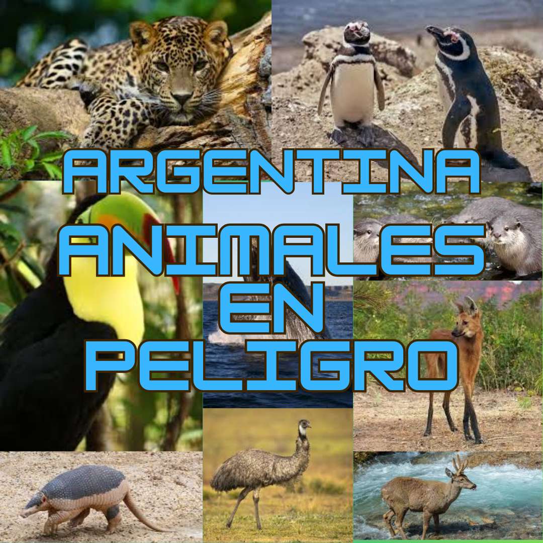 Argentyna Animales en Peligro puzzle online