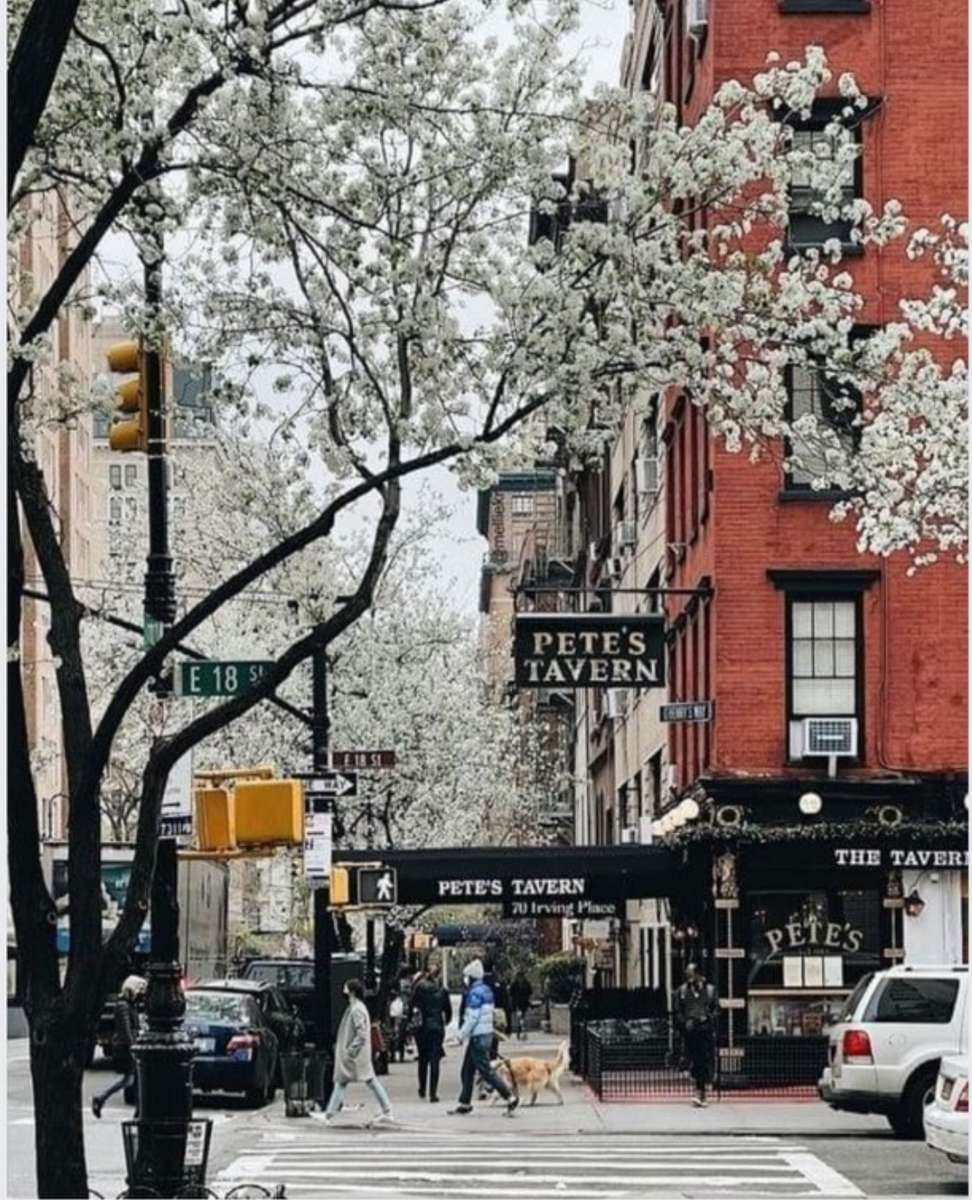 Wiosna na ulicy Nowego Jorku puzzle online