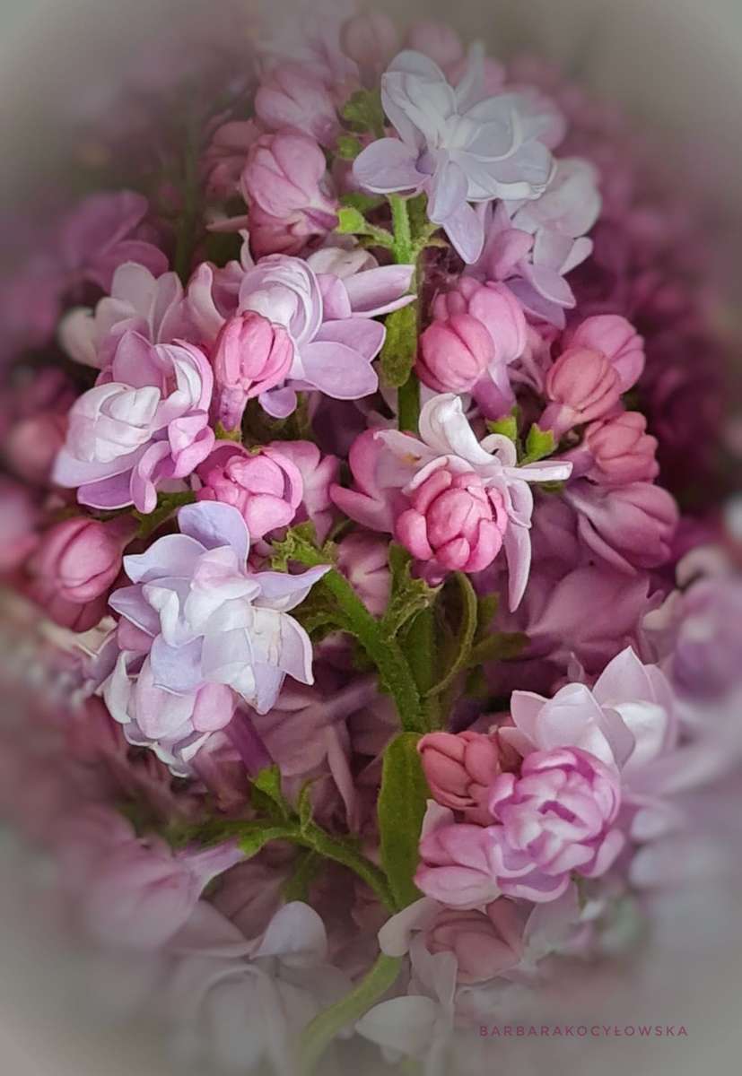 piękny bukiet kwiatów puzzle online