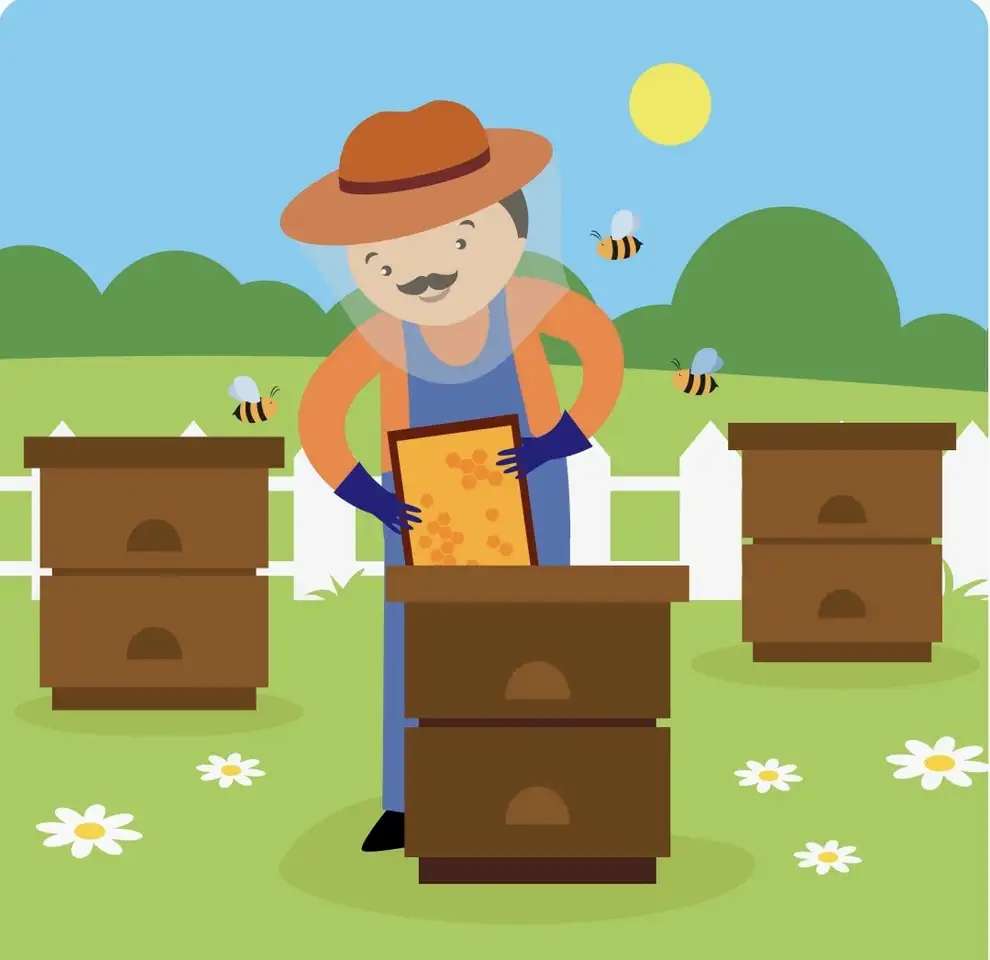 Pszczelarz zbiera miód w pasiece puzzle online