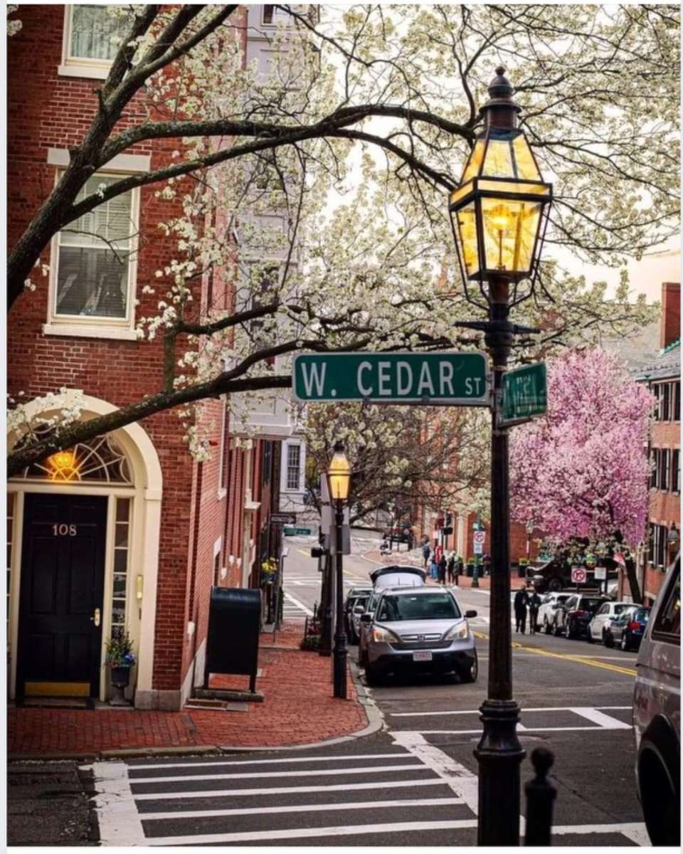 Wiosna w Beacon Hill w Bostonie. puzzle online