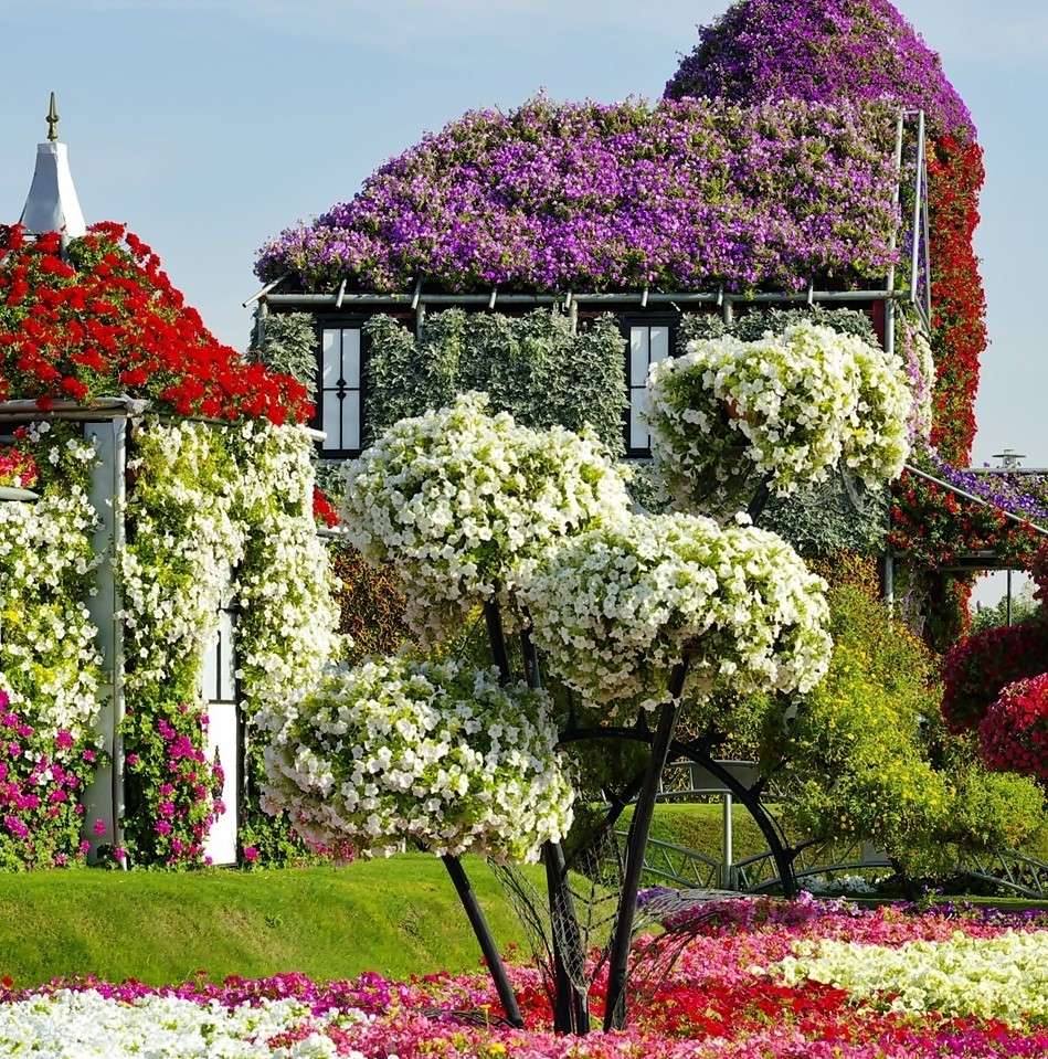 Ogród z kwiatami w Dubaju puzzle online