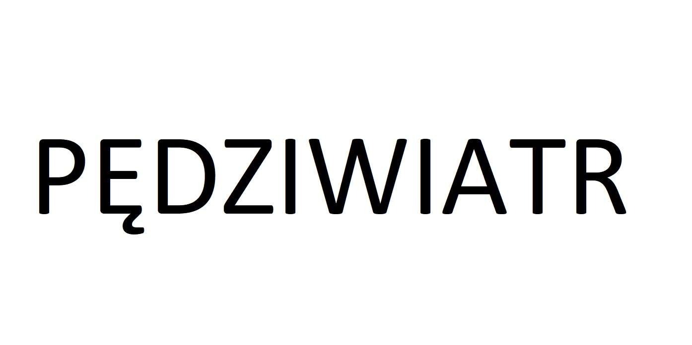 NAZWISKO PĘDZIWIATR PUZZLE FACTORY puzzle online