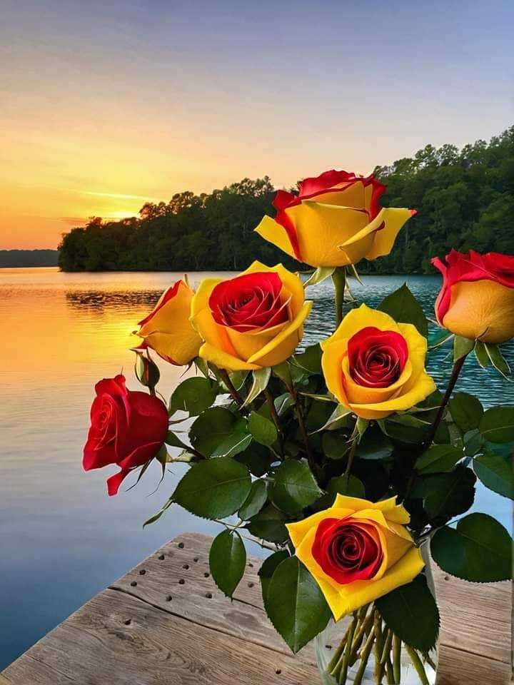 róże na tle zachodu słońca puzzle online