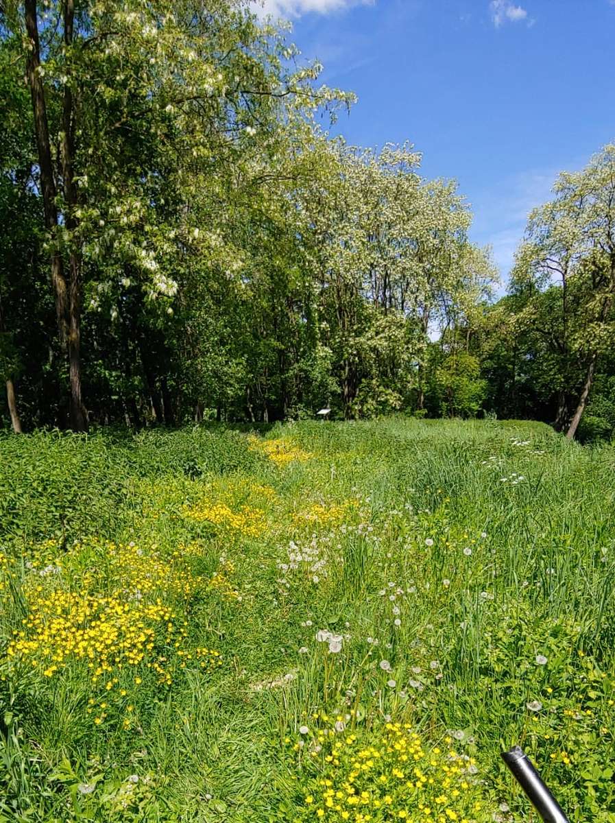 wiosna wiosenna łąka i park puzzle online